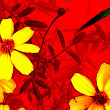 怎么打别人的服务器