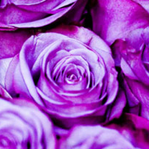 真正懂企业需求的DDOS网页端源码